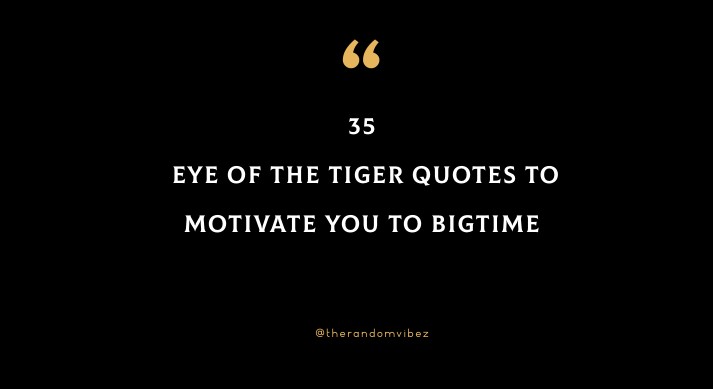 35 Eye Of The Tiger Quotes To Motivate You To Bigtime