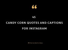 45 Candy Corn Quotes And Captions For Instagram