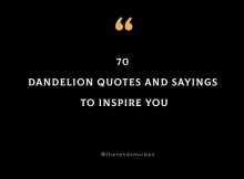 70 Dandelion Quotes And Sayings To Inspire You