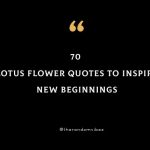 70 Lotus Flower Quotes To Inspire New Beginnings