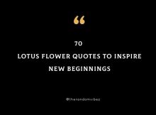 70 Lotus Flower Quotes To Inspire New Beginnings