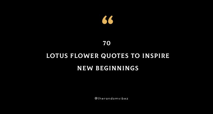 70 Lotus Flower Quotes To Inspire New Beginnings