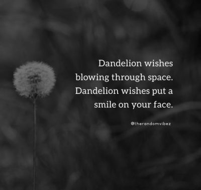 Blowing Dandelion