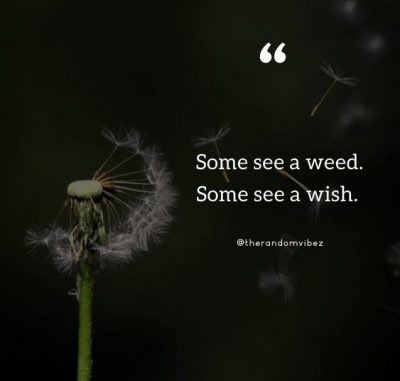 Dandelion Wish Quotes Images