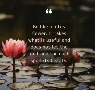 Little Flower Life Quotes