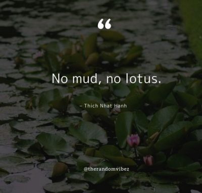 Lotus Flower Quotes Images