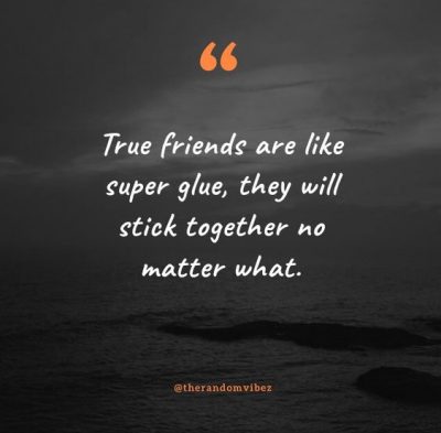 Funny Best Friends Stick Together Quotes