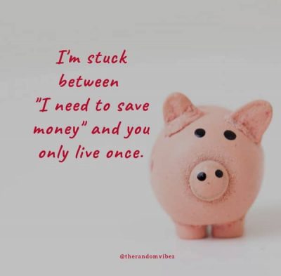 Funny Saving Money Quotes