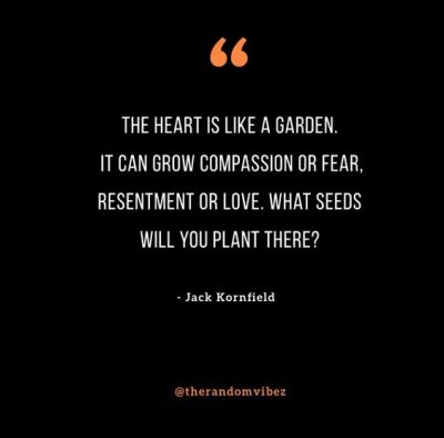 Jack Kornfield Heart Quotes