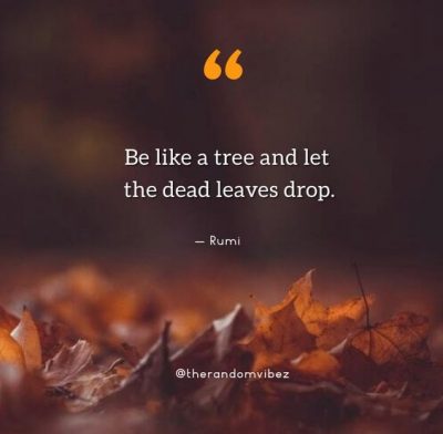 Seasons Of Life Quotes