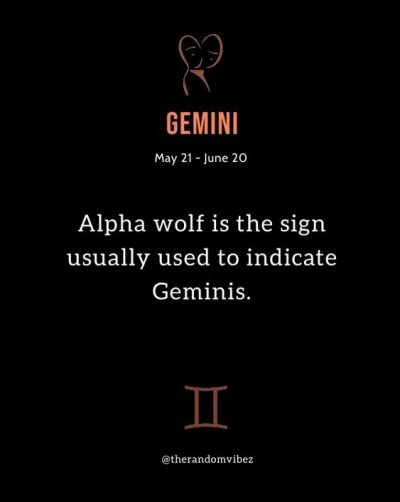 Gemini Quotes