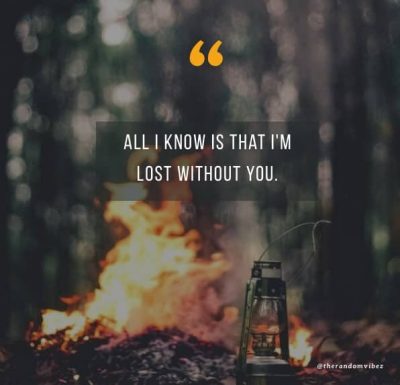 Im Lost Without You Quotes