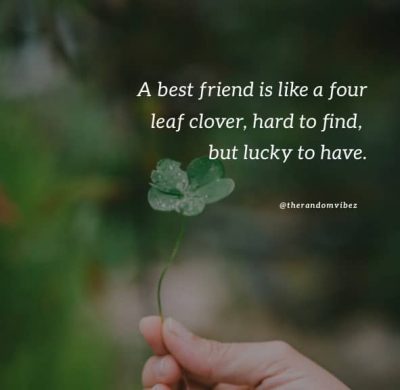 Lucky Charm  Quotes Images