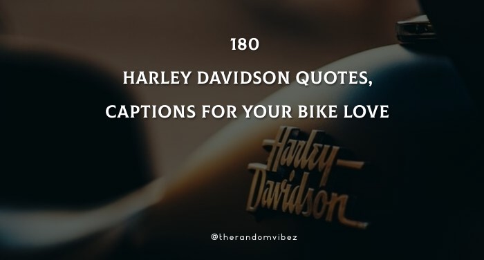 180 Harley Davidson Quotes, Captions For Your Bike Love