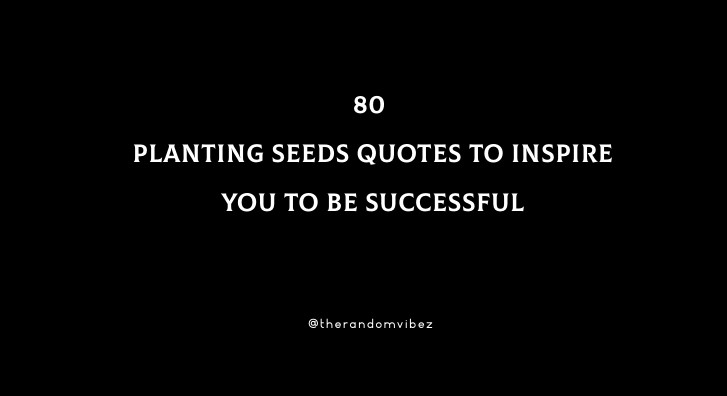 80 Planting Seeds Quotes To Inspire You To Be Successful