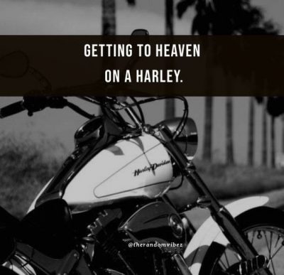 Best Harley Davidson Captions