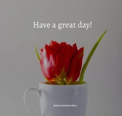 Enjoy The Day Quotes Pics
