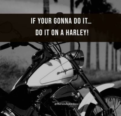 Harley Davidson Wallpapers