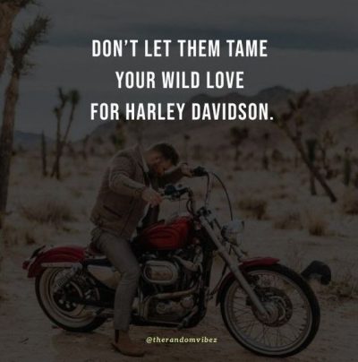 Harley Motorcycle Quotes