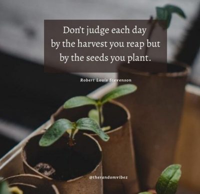 Inspirational Planting Seeds Quotes