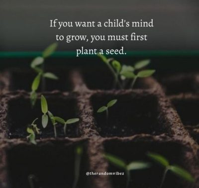 Plant Good Seeds Quotes