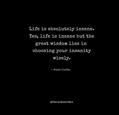 Quotes About Being Insane