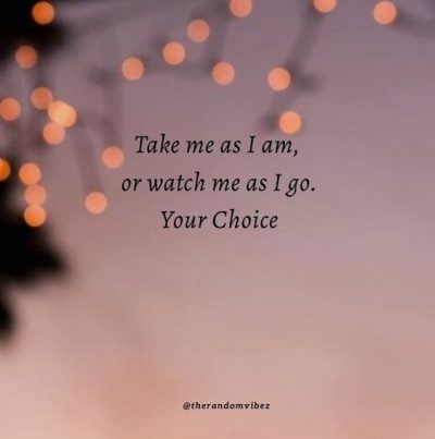 Take Me As I Am Quotes