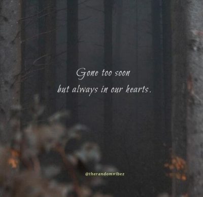 gone too soon sudden death quotes