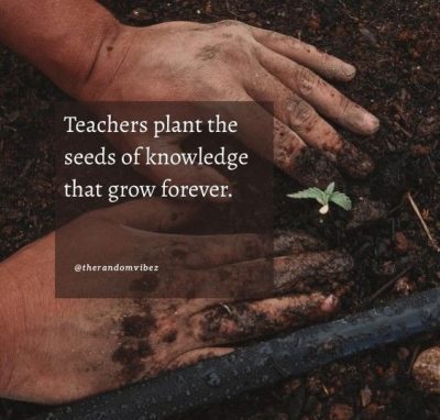 quotes about teachers planting seeds