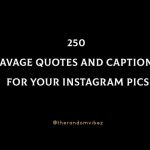 250 Savage Quotes And Captions For Your Instagram Pics