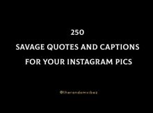 250 Savage Quotes And Captions For Your Instagram Pics