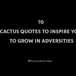 70 Cactus Quotes To Inspire You To Grow In Adversities