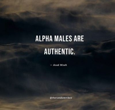 Alpha Male Quotes