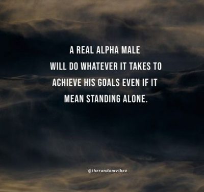 Alpha Male Quotes Images