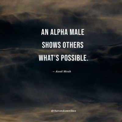 Alpha Male Quotes On Success