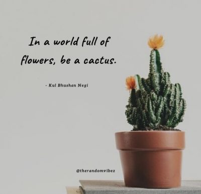 Cactus Quotes Images