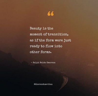 Deep Transition Quotes