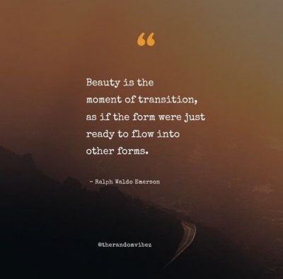 Deep Transition Quotes