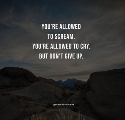 Don't Give Up Quotes