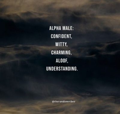 Quotes For Alpha Males