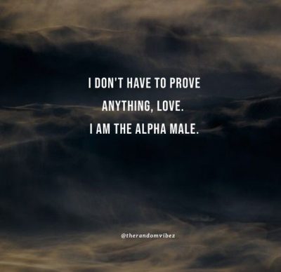 Relationship Alpha Male Quotes