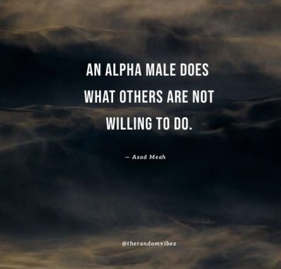 alpha male attitude quotes