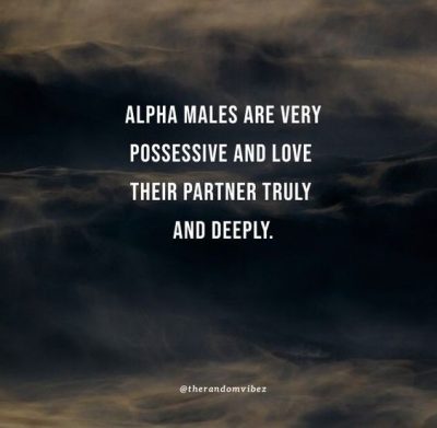 alpha male love quotes