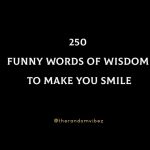 250 Funny Words Of Wisdom To Make You Smile