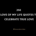 250 Love Of My Life Quotes To Celebrate True Love