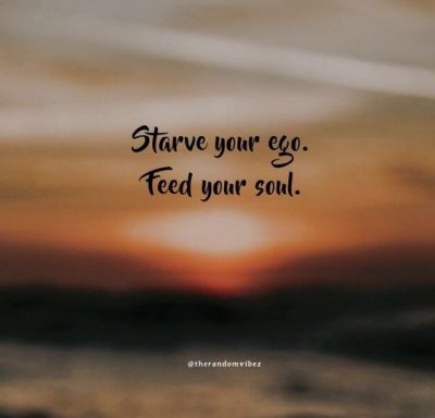 Feed Your Soul Quotes