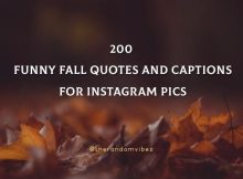 200 Funny Fall Quotes And Captions For Instagram Pics