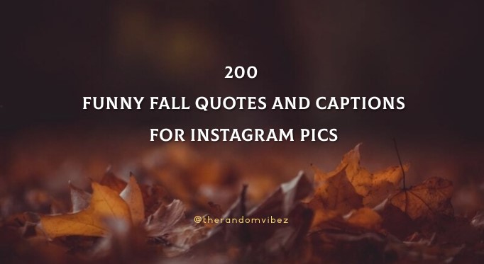 200 Funny Fall Quotes And Captions For Instagram Pics