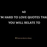 40 I'm Hard To Love Quotes That You Will Relate to