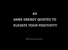 60 Same Energy Quotes To Elevate Your Positivity